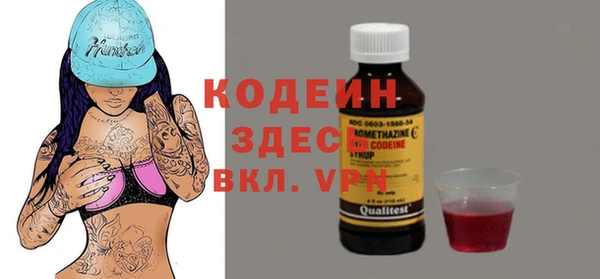 дмт Каменка