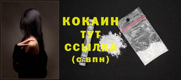 ГАЛЛЮЦИНОГЕННЫЕ ГРИБЫ Касимов