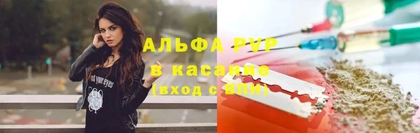 соль ск Каменногорск