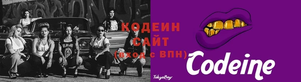 соль ск Каменногорск