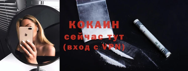 соль ск Каменногорск