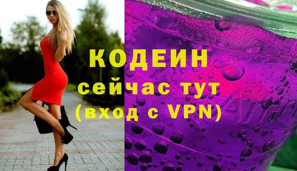 дмт Каменка
