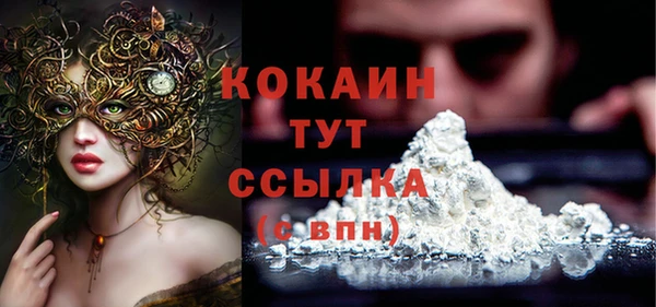 дмт Каменка