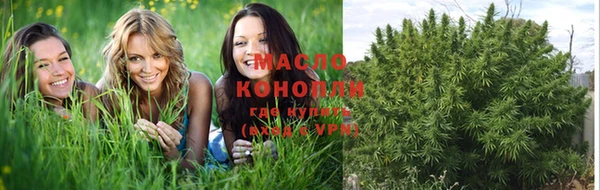 соль ск Каменногорск