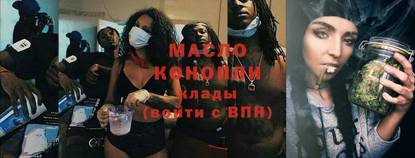 дмт Каменка