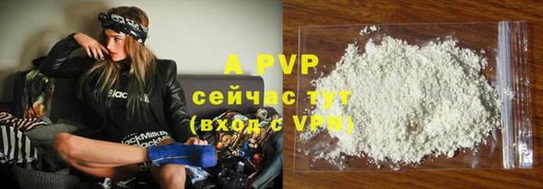 дмт Каменка