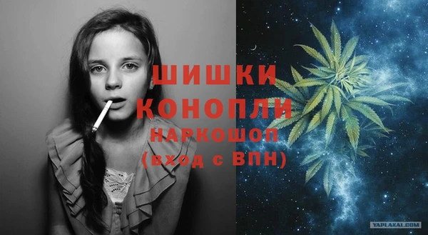соль ск Каменногорск