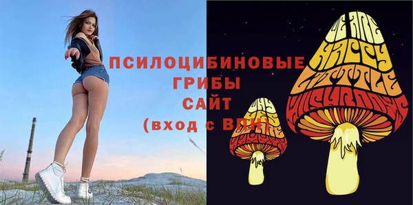 дживик Каменск-Шахтинский